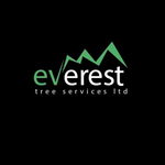 everesttree is swapping clothes online from 