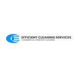 efficientcleaning is swapping clothes online from 