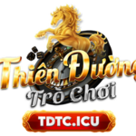 tdtcicu is swapping clothes online from 