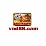 vnd88cam is swapping clothes online from 