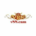 v88cam is swapping clothes online from 