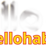 hellohabitnet is swapping clothes online from 