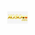 xoso66deal is swapping clothes online from 