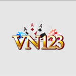 vn123ee is swapping clothes online from 
