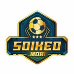 soikeomobi is swapping clothes online from 