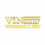 vinixmultnet is swapping clothes online from 