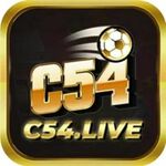 c54thegreenveganscom is swapping clothes online from 