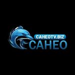 caheotvbiz is swapping clothes online from 