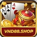 vnd88shop is swapping clothes online from 