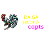 dagacopts is swapping clothes online from 