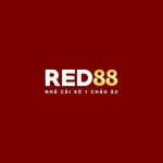 red88channel is swapping clothes online from 