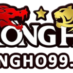 rongho99me is swapping clothes online from 