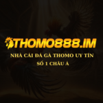 THOMO888 - Nhà cái đá gà is swapping clothes online from 