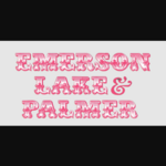 emersonlakepalmermerch is swapping clothes online from 