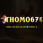 thomo67im is swapping clothes online from 