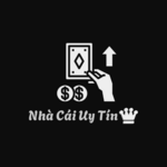 nhacaiuytin862 is swapping clothes online from 