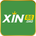 xin88dad is swapping clothes online from 