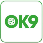 ok9coupons is swapping clothes online from Vietnam, 