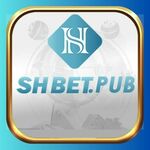 shbetpub is swapping clothes online from 