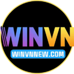 winvnnew com is swapping clothes online from 