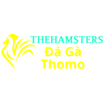 dagathehamsters is swapping clothes online from 