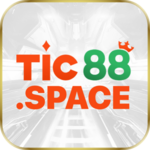 tic88space is swapping clothes online from 