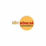 keobongda88org is swapping clothes online from 