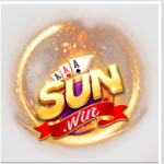 linksunwintelsoin is swapping clothes online from 