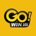 gowinvin is swapping clothes online from 