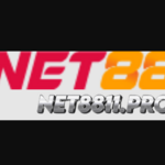 net8811pro is swapping clothes online from 