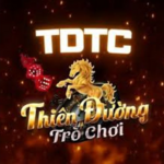 TDTC is swapping clothes online from 