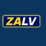 zalvzalv is swapping clothes online from 