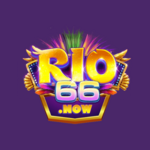 rio66  is swapping clothes online from 