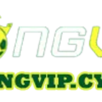 bongvipcyou is swapping clothes online from 