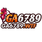 ga6789wtf is swapping clothes online from 