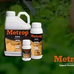 mutterpflanze is swapping clothes online from 