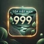 topvietnam999com is swapping clothes online from 