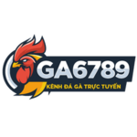 ga6789interzx is swapping clothes online from 
