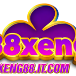 xeng88 is swapping clothes online from 