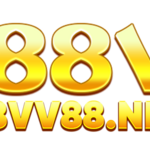88vv88net is swapping clothes online from 