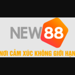 new88channel is swapping clothes online from 
