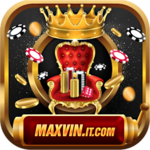 maxvinitcom is swapping clothes online from 