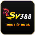 sv388casa is swapping clothes online from 