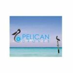 Pelican Drones is swapping clothes online from 