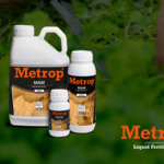 hanfanbau is swapping clothes online from 