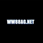 WW88 is swapping clothes online from 