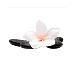 homemassageindubai is swapping clothes online from 