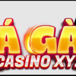 ĐÁ GÀ CASINO XYZ is swapping clothes online from 