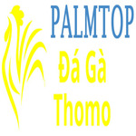 Đá Gà Trực Tiếp Thomo is swapping clothes online from 