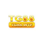 tg88wtf is swapping clothes online from 